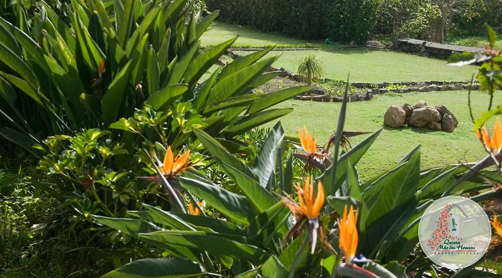 Apartamentos Quinta Mae Dos Homens Funchal  Funchal (Madeira)