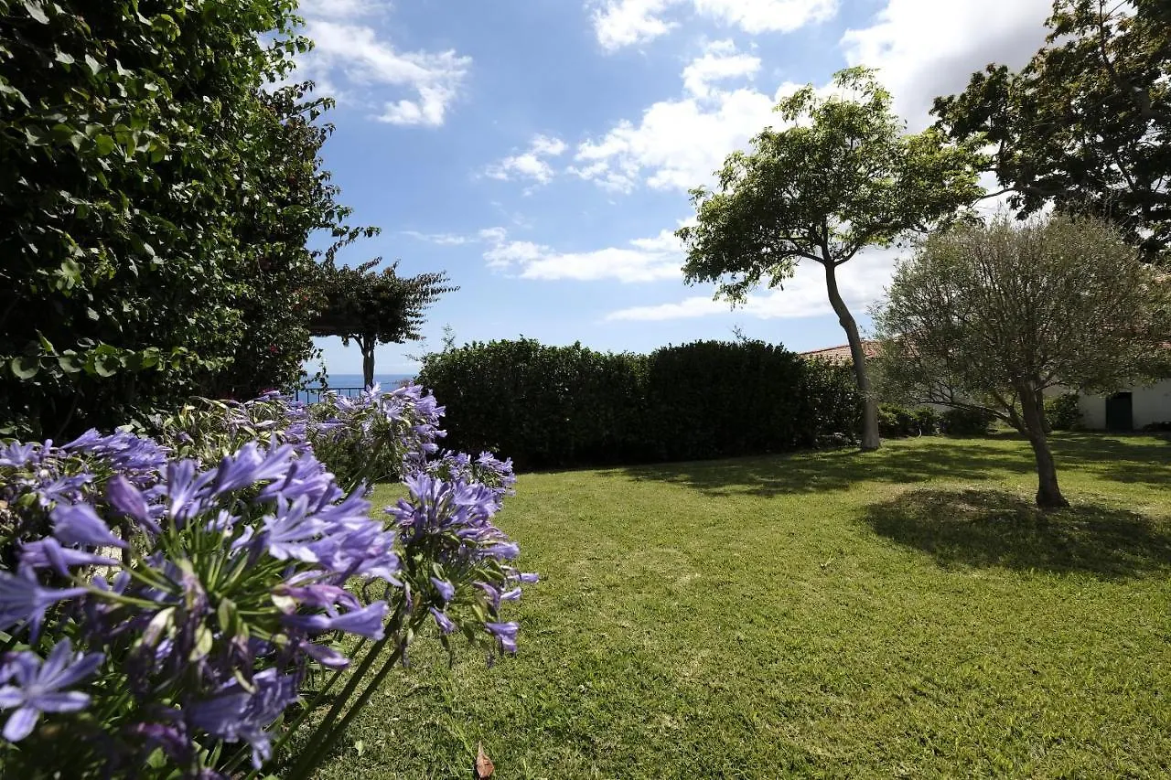 Apartamentos Quinta Mae Dos Homens Funchal  Funchal (Madeira)
